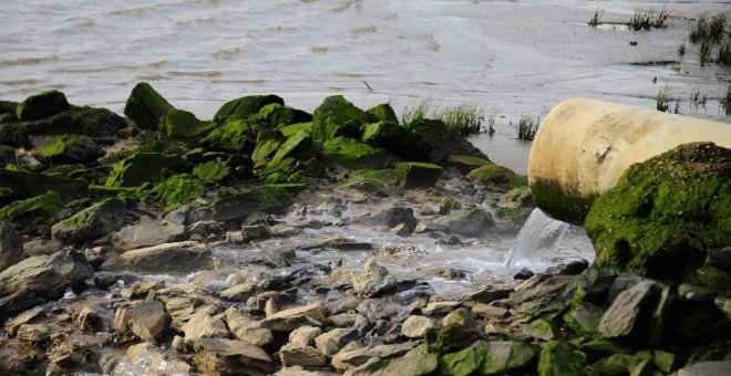 Los ríos españoles, profundamente contaminados por pesticidas y sustancias químicas
