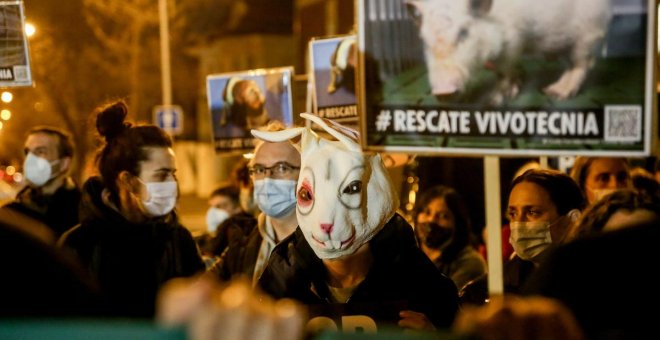 Grupos animalistas reclaman en Madrid la paralización de un experimento con perros en Vivotecnia