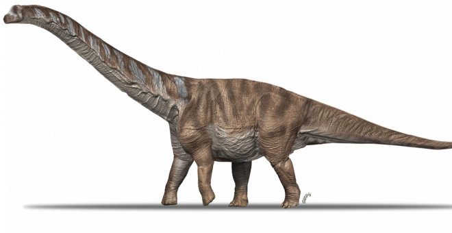 Descrita per primera vegada una enorme espècie de dinosaure de 17 metres localitzada al Pallars Jussà
