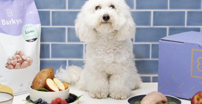 Llega el primer pienso con ingredientes frescos y naturales personalizado para cada perro