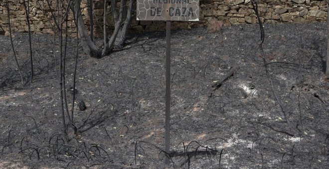 El incendio de Zamora, el más grave en España en 10 años
