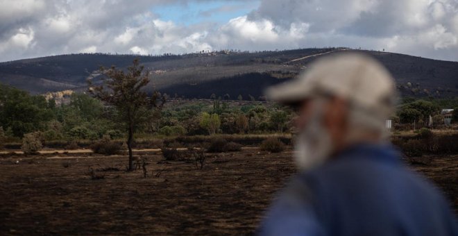 La Fiscalía archiva la causa contra la Junta por el incendio de Zamora en verano