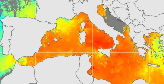 Una ola de calor marina calienta un Mediterráneo con temperaturas hasta 4ºC por encima de lo normal