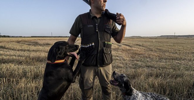 Unidas Podemos teme que el PSOE haga descarrilar la Ley de Protección Animal por su postura con los perros de caza