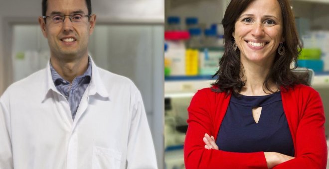 Fundación "la Caixa" se vuelca con la investigación con 33 nuevos proyectos de biomedicina