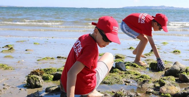 ‘Santander Natura’, voluntariado corporativo a favor del medioambiente