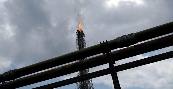 De la protesta a los tribunales: cómo los litigios climáticos han cambiado el rumbo del ecologismo