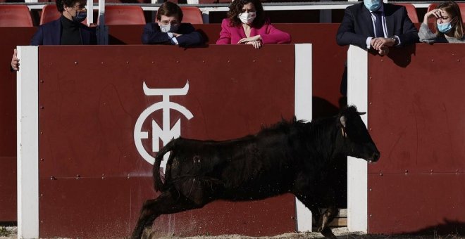 Ayuso y Almeida reabrieron la escuela taurina de Batán sin cumplir los trámites de edificabilidad