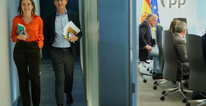 El PP se abre a regular los vientres de alquiler siempre y cuando "no haya ningún tipo de pago"