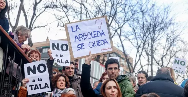 Ayuso paraliza temporalmente la tala masiva de árboles por la ampliación de la Línea 11 de Metro en Madrid Río