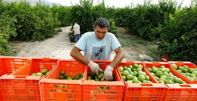 Agricultura quiere prohibir las renovables en suelo de regadío y obvia las consecuencias de la crisis climática