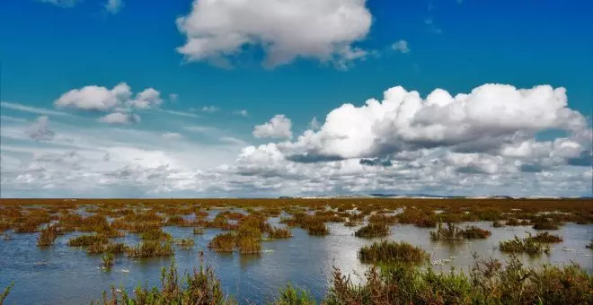 La Confederación del Guadalquivir emite un informe desfavorable al macroproyecto turístico de Trebujena, junto a Doñana