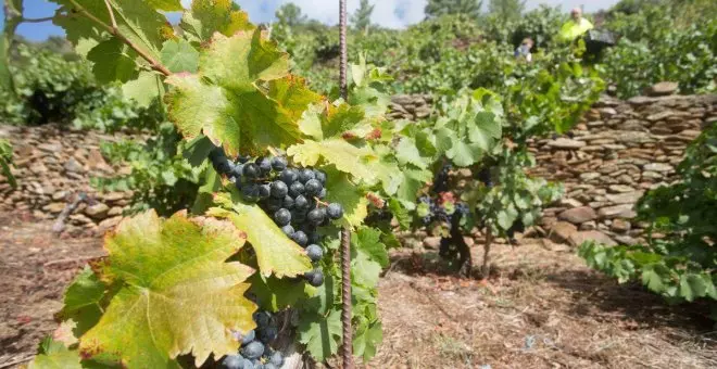 Muere un agricultor de 46 años en un pueblo de Ciudad Real por un golpe de calor