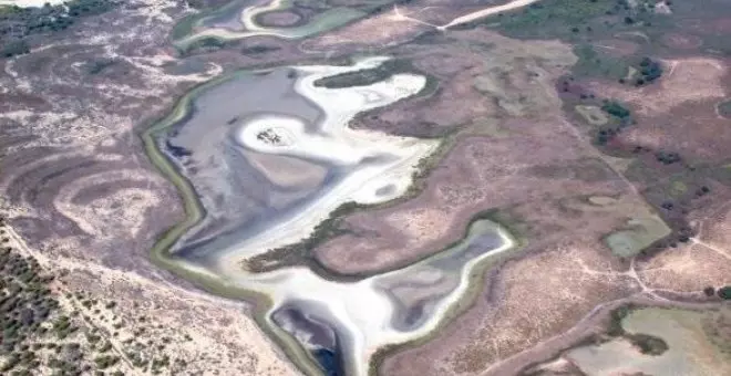 La principal laguna de Doñana se secará por completo en dos semanas