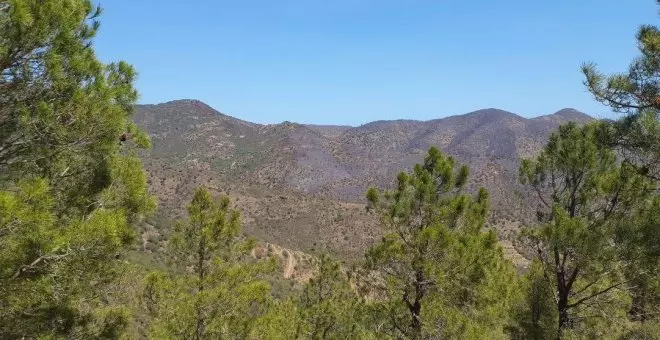 Controlat l'incendi de Portbou i Colera que ha cremat prop de 600 hectàrees