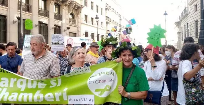 Los barrios de Madrid se unen para protestar contra las talas de Almeida
