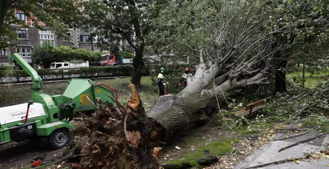 La Aemet alerta sobre el peligro de la borrasca Ciarán: estas son las zonas más afectadas