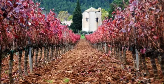 DO Penedès: 2.700 anys d’història vitivinícola