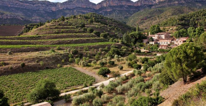 DOQ Priorat: el vi d’una orografia molt feréstega