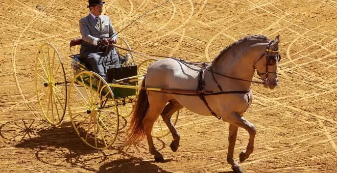 Un caballo muere en la Feria de Abril por un golpe de calor