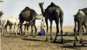 Sahel, el áfrica azul