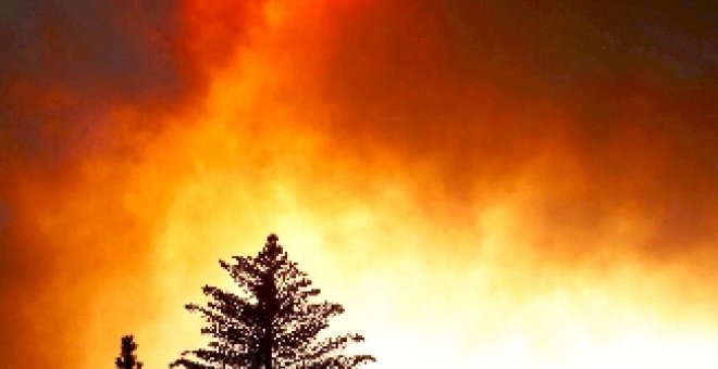 El fuego arrasa este año tres veces más de superficie forestal que en 2007