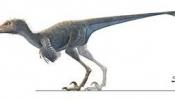 El fósil de un dinosaurio cuestiona la evolución de las aves