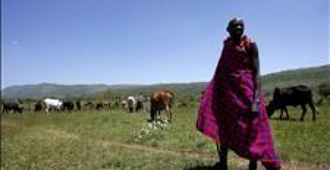 Cerca de 500 casos de fiebre del Valle del Rift con 161 mortales