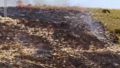 El fuego arrasa en lo que va de año el doble de hectáreas que en 2013