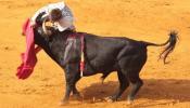 La ONU, partidaria de prohibir la entrada de menores en las corridas de toros