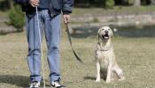 La ONCE pide que los perros guía accedan a todos los lugares públicos