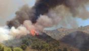 El fuego ya ha calcinado este año un 30% más de hectáreas que en 2013
