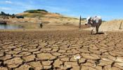 ¿Por qué el cambio climático supone una amenaza para la salud pública?