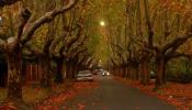 Llega el otoño, que será más cálido de lo normal