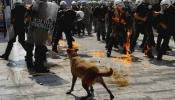 Muere Lukánikos, el perro de las protestas contra la austeridad en Grecia