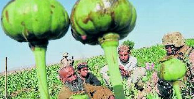 El opio doblega a Kabul