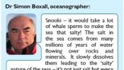 "El esperma de ballena saliniza el agua de mar" y otras ocurrencias de famosos en 2011