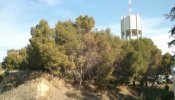 El último bosque radiactivo de España