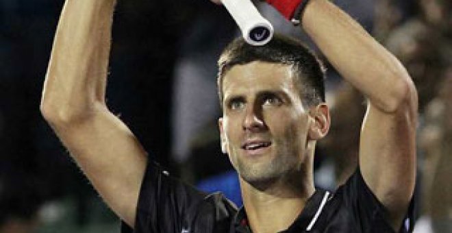 Mucho Djokovic para Ferrer