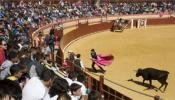 'Performance' contra las excursiones taurinas financiadas por Aguirre