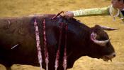 Wert aprobará un plan de fomento de los toros como "hecho cultural"