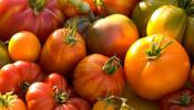 El tomate, el superviviente natural de la huerta