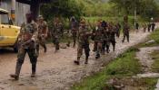 Las FARC se plantean el desarme en un supuesto comunicado