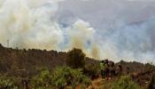 Miles de afectados por los incendios forestales se manifiestan en Valencia