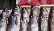 Los consumidores españoles prefieren el pescado nacional