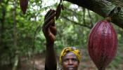 Del cacao al chocolate: las mujeres olvidadas de las multinacionales