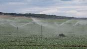 El campo 'se bebe' el 60% del agua disponible en España