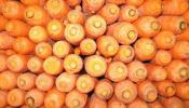 Las zanahorias desechadas sirven para producir bioetanol