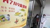 China confirma el primer afectado por una nueva cepa de gripe aviar en Pekín