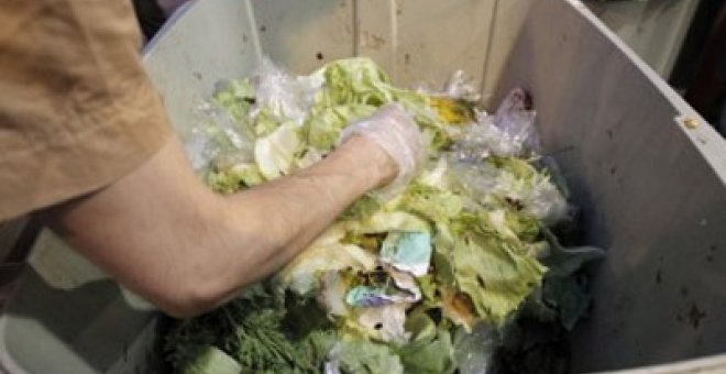 Cada año se tiran a la basura 1.300 millones de toneladas de alimentos
